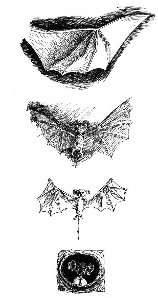 Bats Blegvad